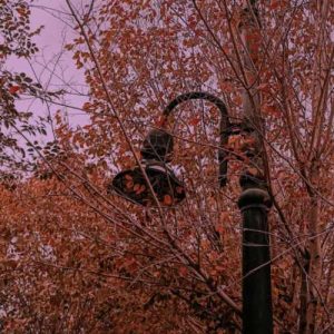 دانلود آهنگ دل تو میتونست بره ولی خب عرضه نداشت